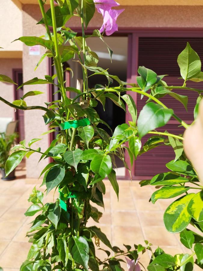 Bed and Breakfast Vivienda Vacacional Compartida Radazul Exterior foto